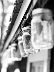 PhotoBNW-00241