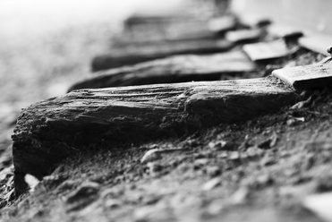 PhotoBNW-00331