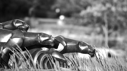 PhotoBNW-00341