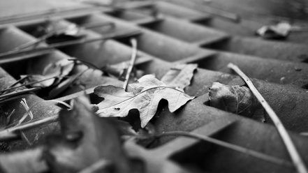 PhotoBNW-00351