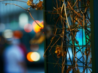 Photo-00001
