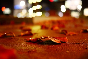 Photo-00051