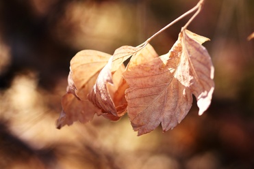 Photo-00131
