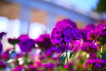 Photo-00421