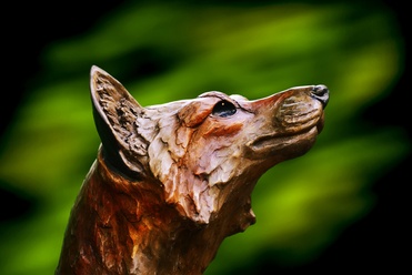 Photo-00561