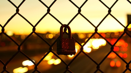 Photo-00651