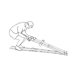 Forearms A
