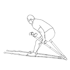 Triceps1B