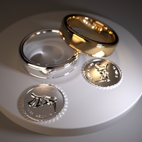 RingCaustics